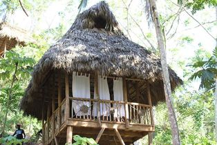 Dominican Tree House Village Room 2 Dominican Tree House Village Room 2